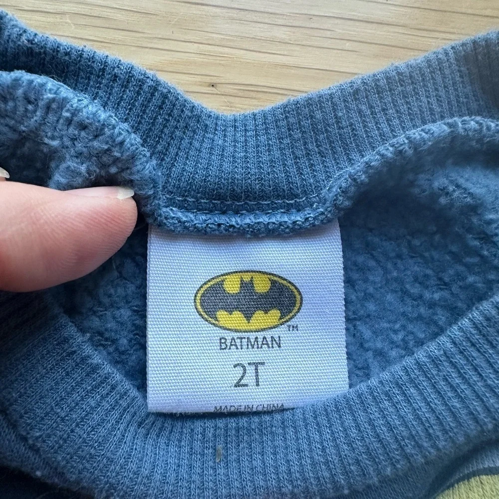 Kids' Gray Dinosaur & Blue Superhero Sweatshirts size 2T